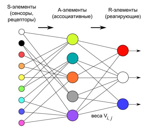 зачем нужны программы нейронных сетей на форекс